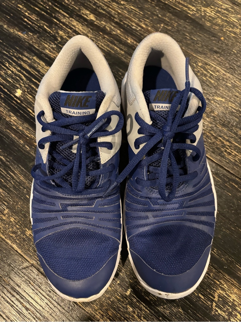 Nike Navy and White Training Sneakers